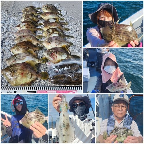カワハギの釣果