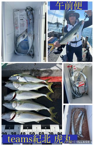 メジロの釣果