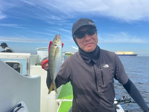 マアジの釣果
