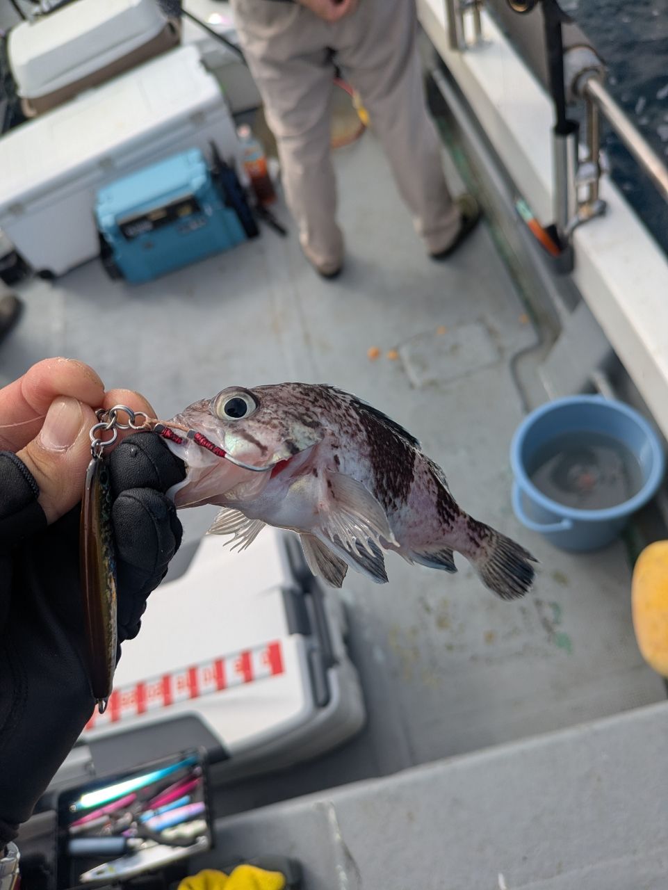 千春RossoNeroさんの釣果 3枚目の画像