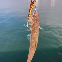 エソ
