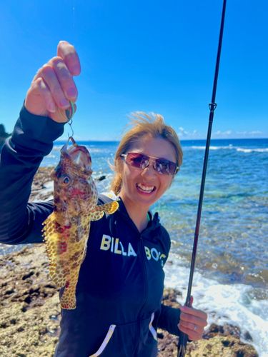 イシミーバイの釣果