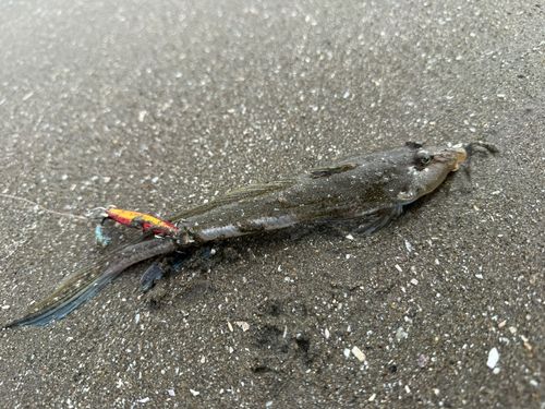 東京湾（アクアライン〜富津）