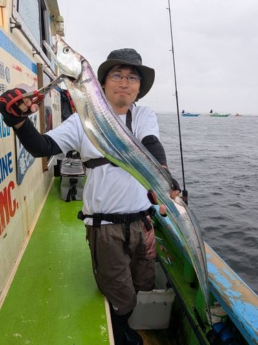 タチウオの釣果