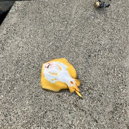 エイ