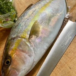 ショゴ