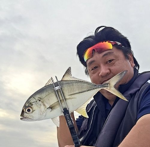 ギンガメアジの釣果