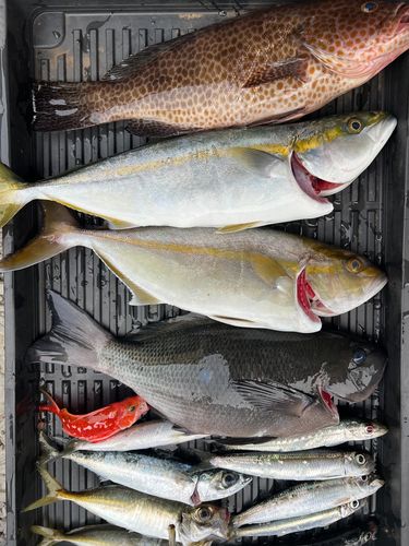 相模湾