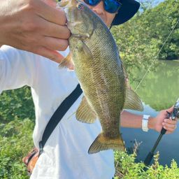 スモールマウスバス