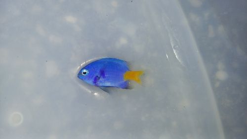 金武湾