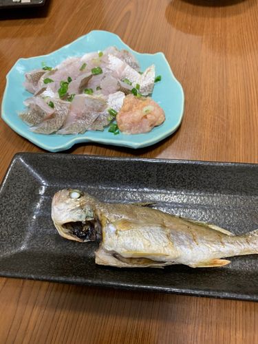 イシモチの釣果
