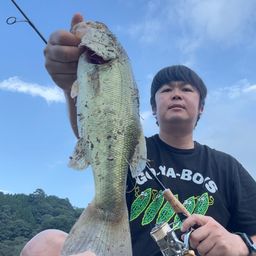 ブラックバス