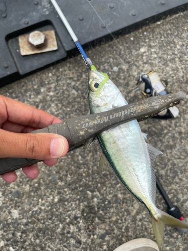 表浜名湖