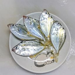 ヒイラギ