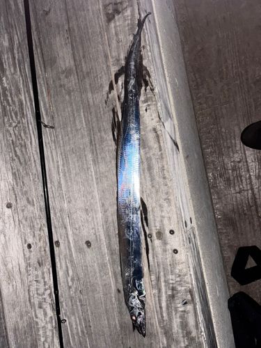 海辺つり公園