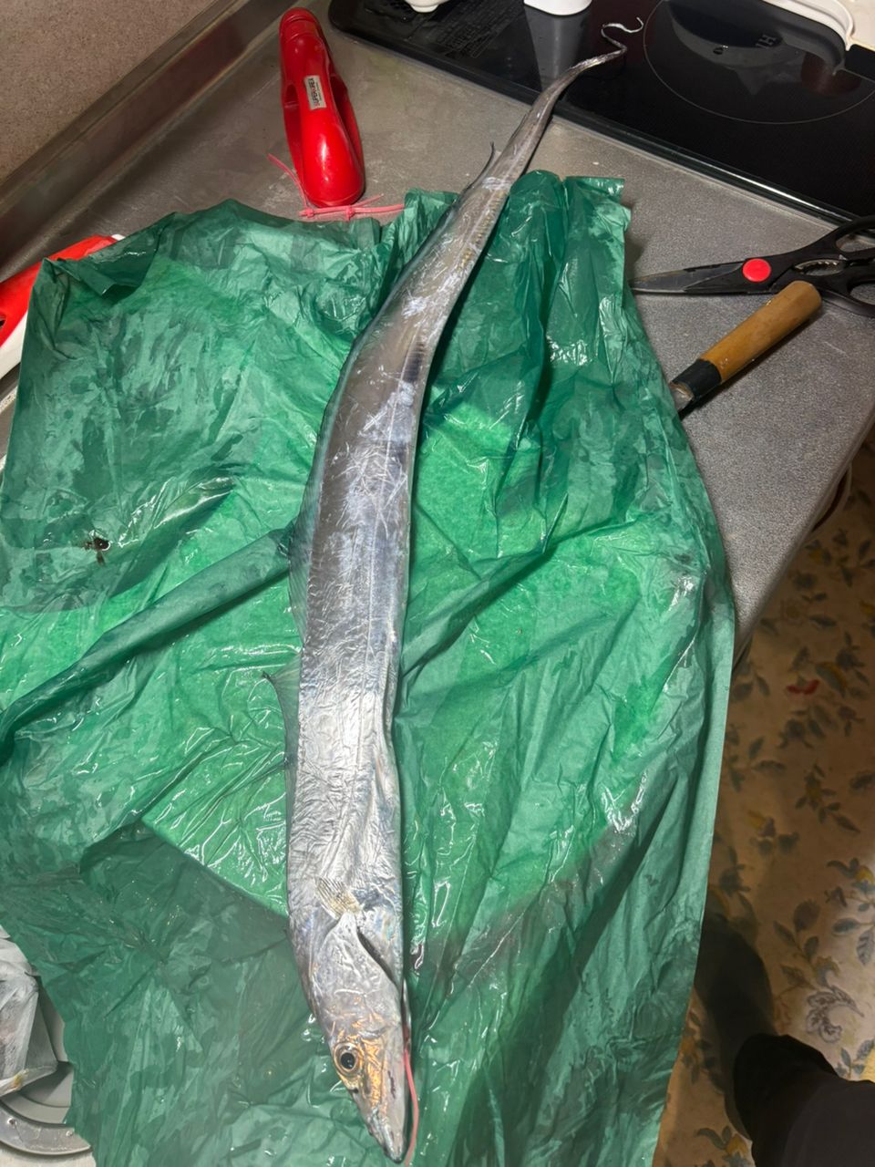 Eikun4さんの釣果 2枚目の画像