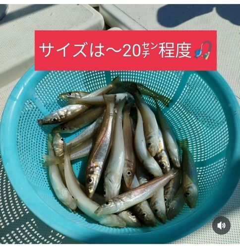 黒島（新居浜）