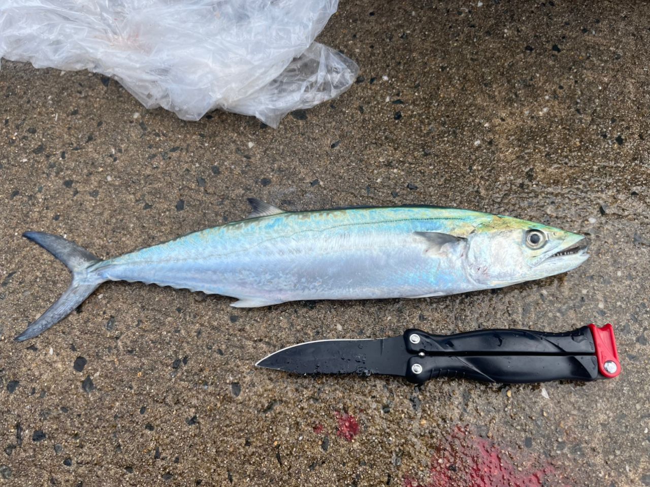 DAIWA 21ラブラックス AGS 93MLの最安値・インプレ・釣果 | 本音