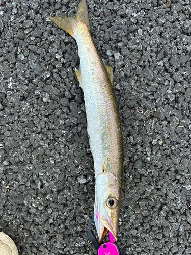 つばさ公園