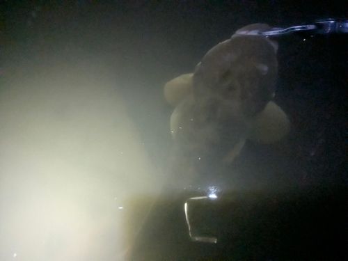 外房