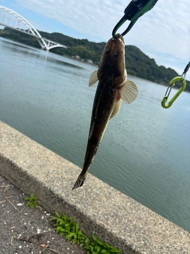 伊万里湾大橋