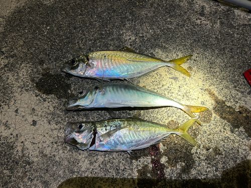 新和歌浦港