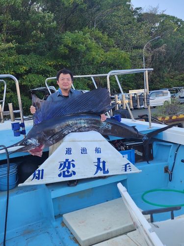 バショウカジキの釣果