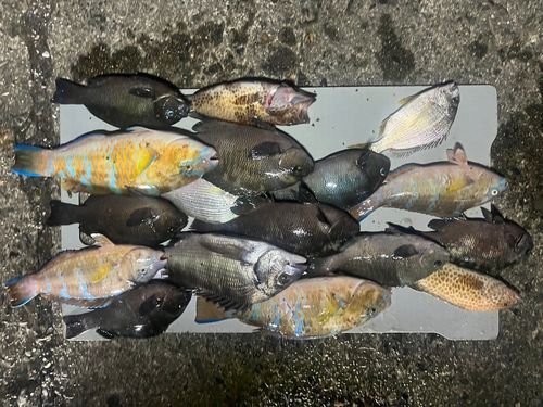 尾鷲湾