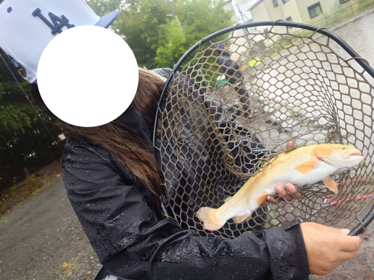 アルビノニジマス