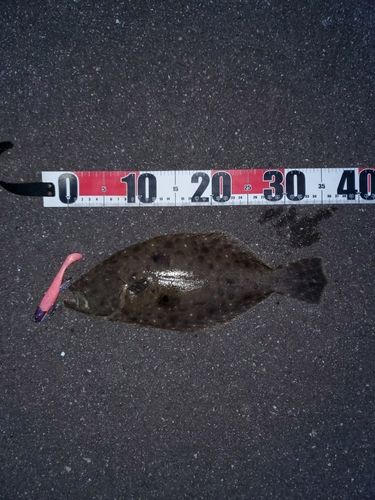 伊勢湾