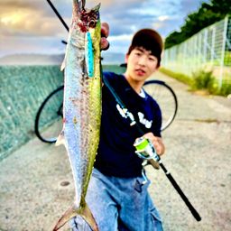 タチウオ