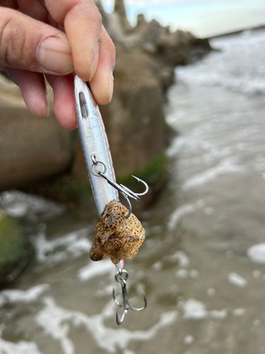 吹浦漁港