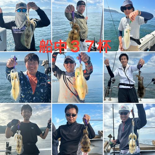 アオリイカの釣果