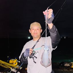 アオリイカ
