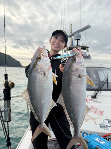 シオの釣果