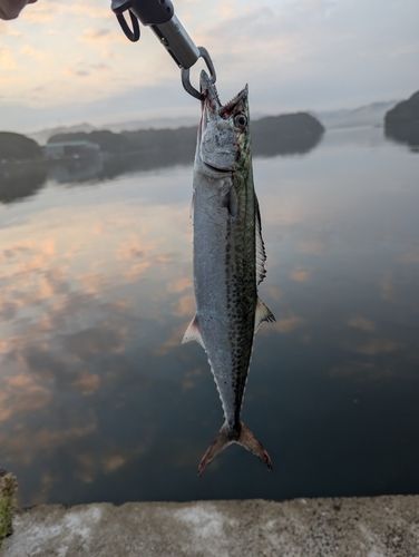仮屋湾
