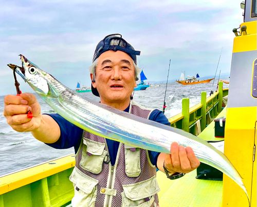 タチウオの釣果