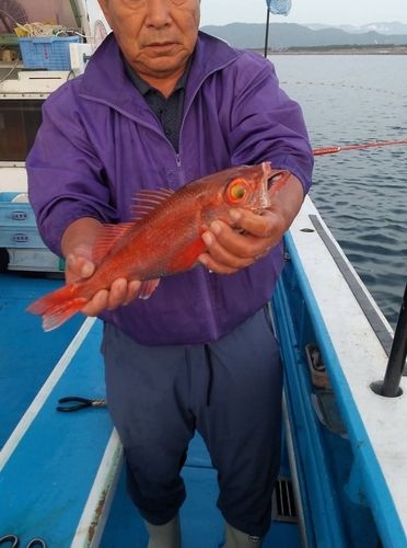 駿河湾