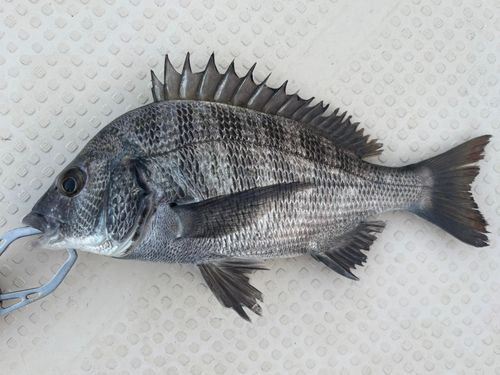 浜名湖