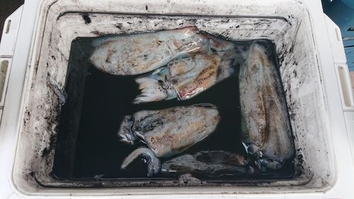 越前海岸