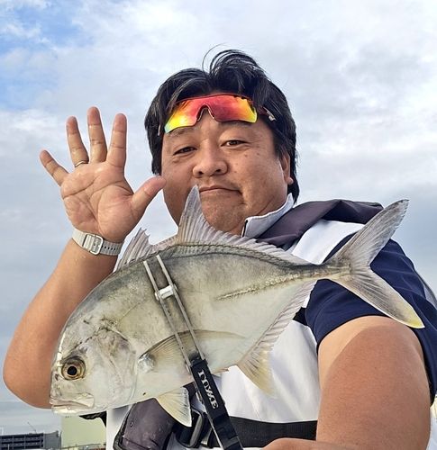 ロウニンアジの釣果