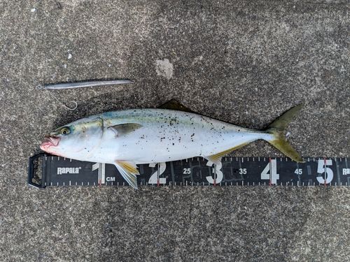 三陸海岸（岩手）
