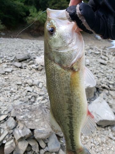 江川ダム