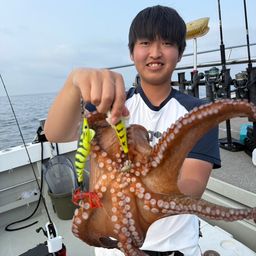 タコ