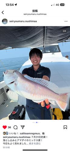シロアマダイの釣果