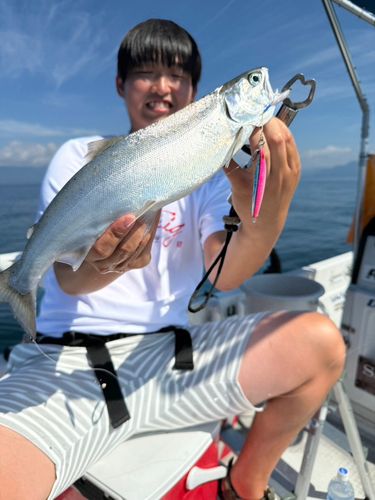 琵琶湖北湖