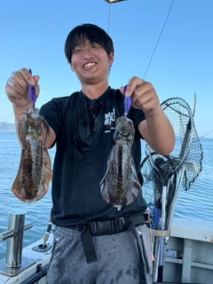 イイダコの釣果