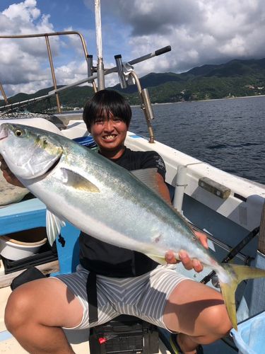 ブリの釣果