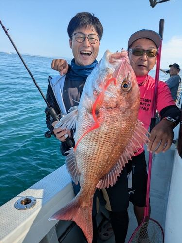 マダイの釣果
