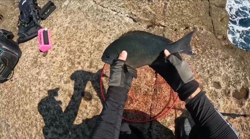 賀田湾